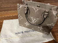 Louis Vuitton On the Go PM